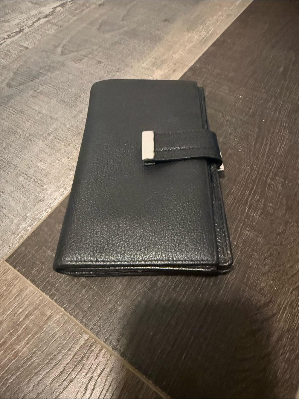 Danier Leather Wallet with Silver Accent